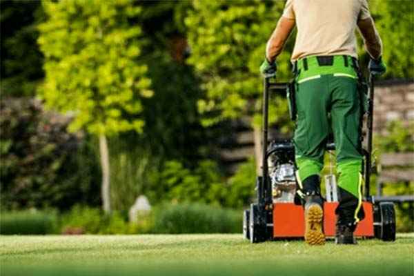 Garden and section management